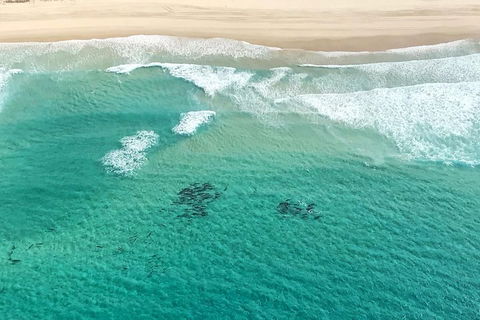 Coastal Helicopter Shared Flight - 20 Minutes - Northern Rivers Accommodation 4