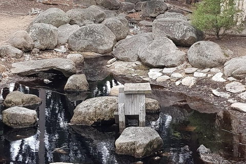 Bendigo, Echuca & The Mighty Murray - Northern Rivers Accommodation 1