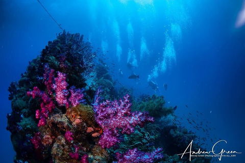 Scuba Dive The S.S. Yongala Wreck On The Great Barrier Reef. - Northern Rivers Accommodation 2