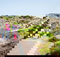 Margaret River Coastal and Wildlife Eco Trip from Busselton or Dunsborough - Northern Rivers Accommodation